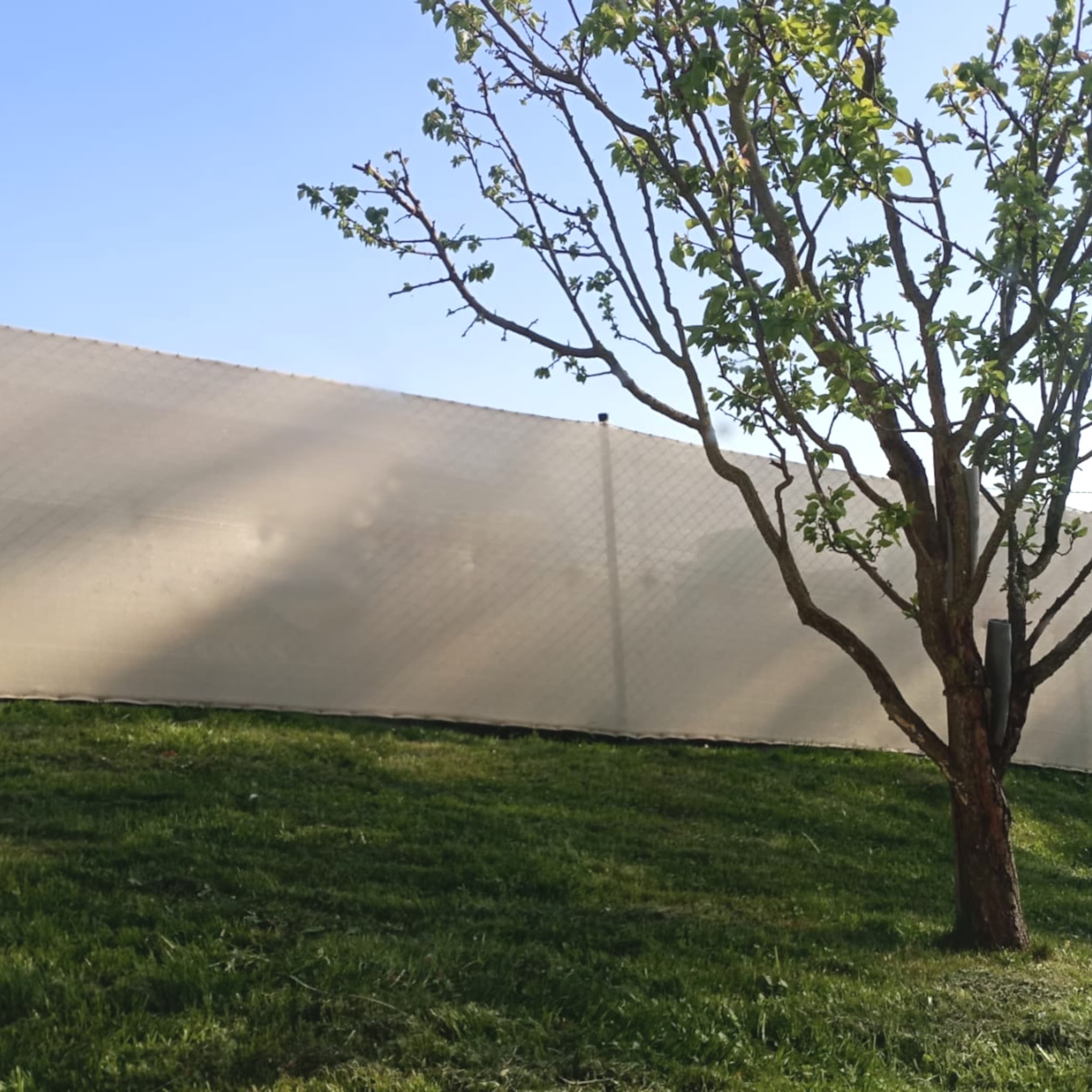 TOPTRADE stínící síť písková 2 × 50 m, 150 g/m² - náhled 2