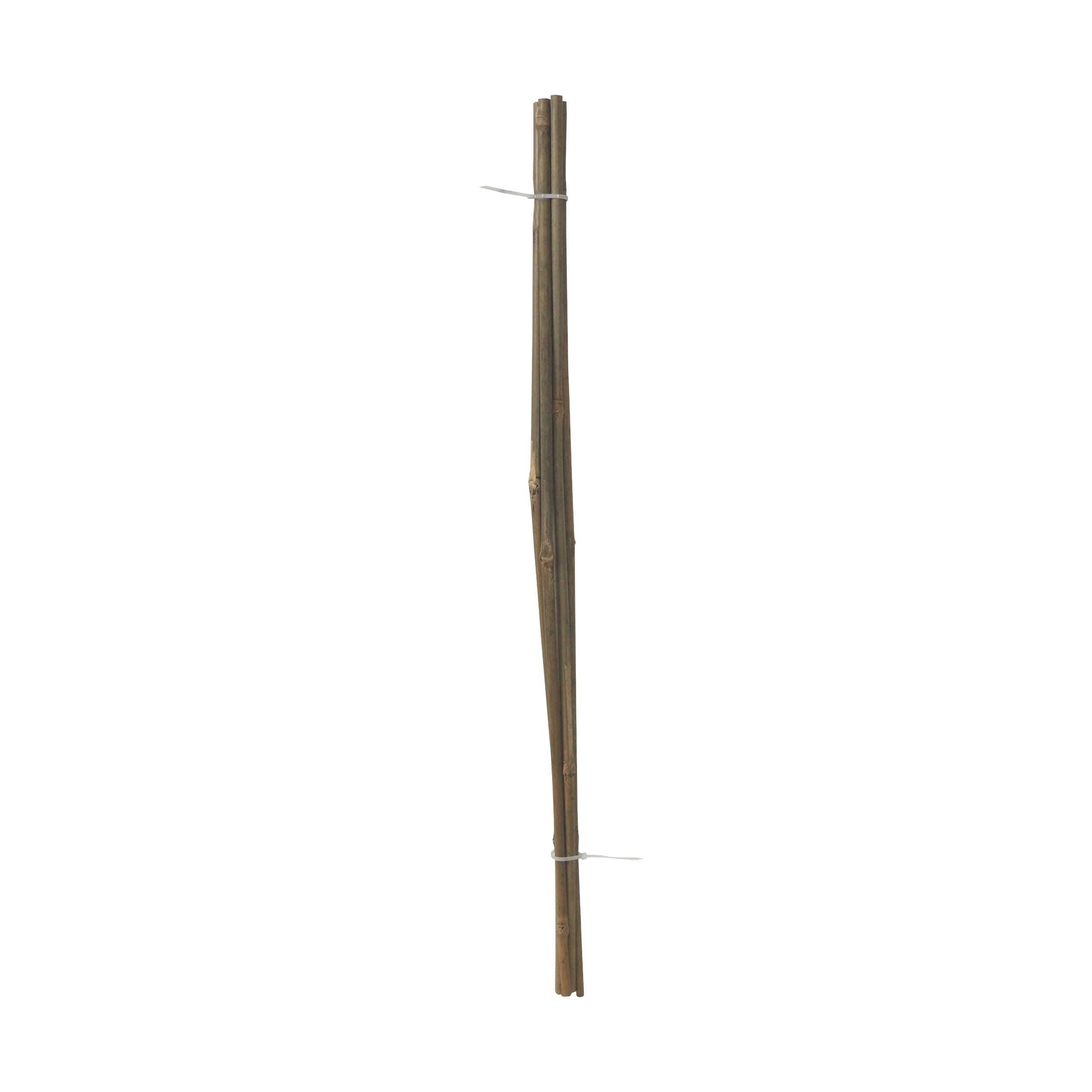 TOPTRADE bambusové tyče 60 cm, Ø 8–10 mm – sada 5 ks