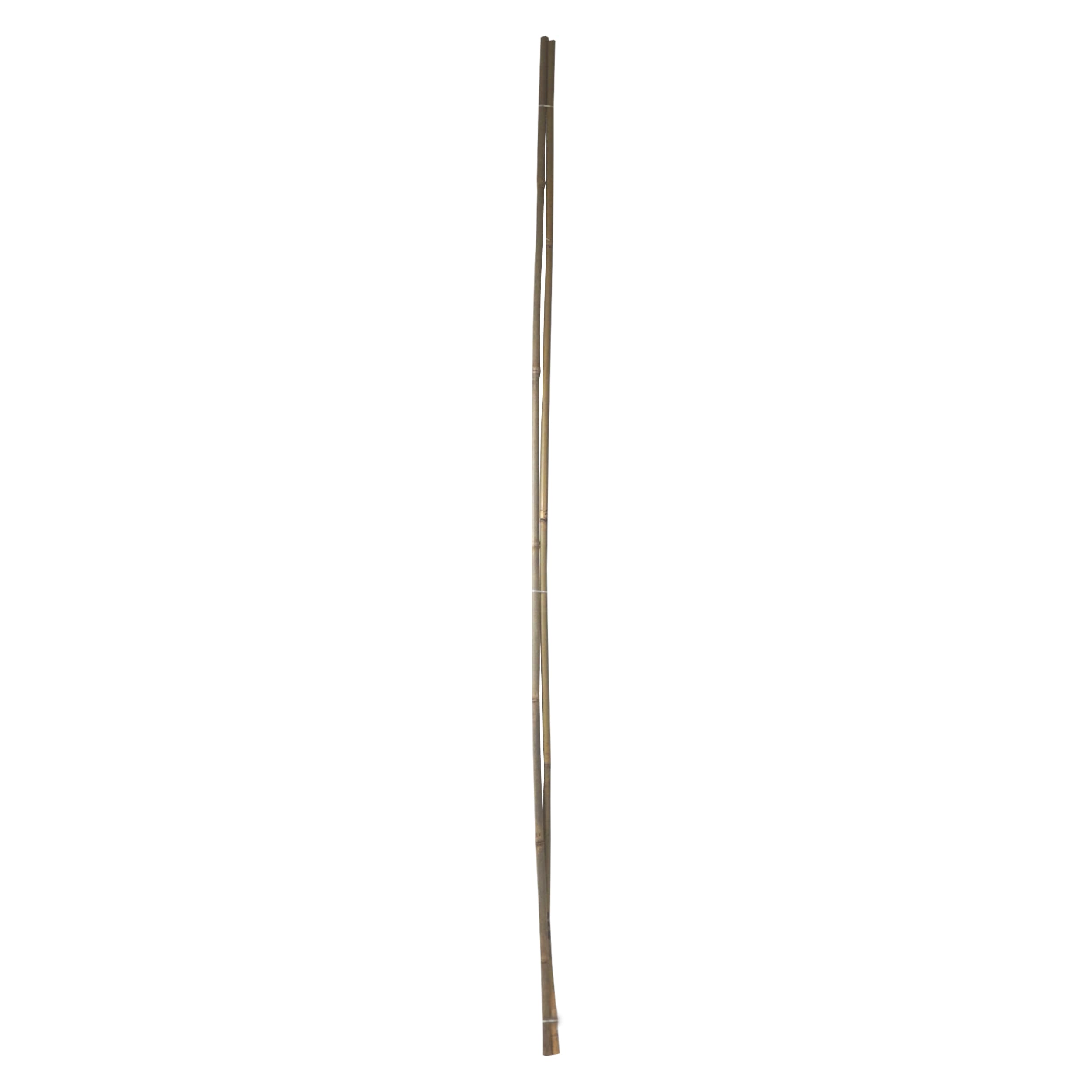 Bambusové tyče TOPTRADE 150 cm Ø 14–16 mm – sada 2 ks