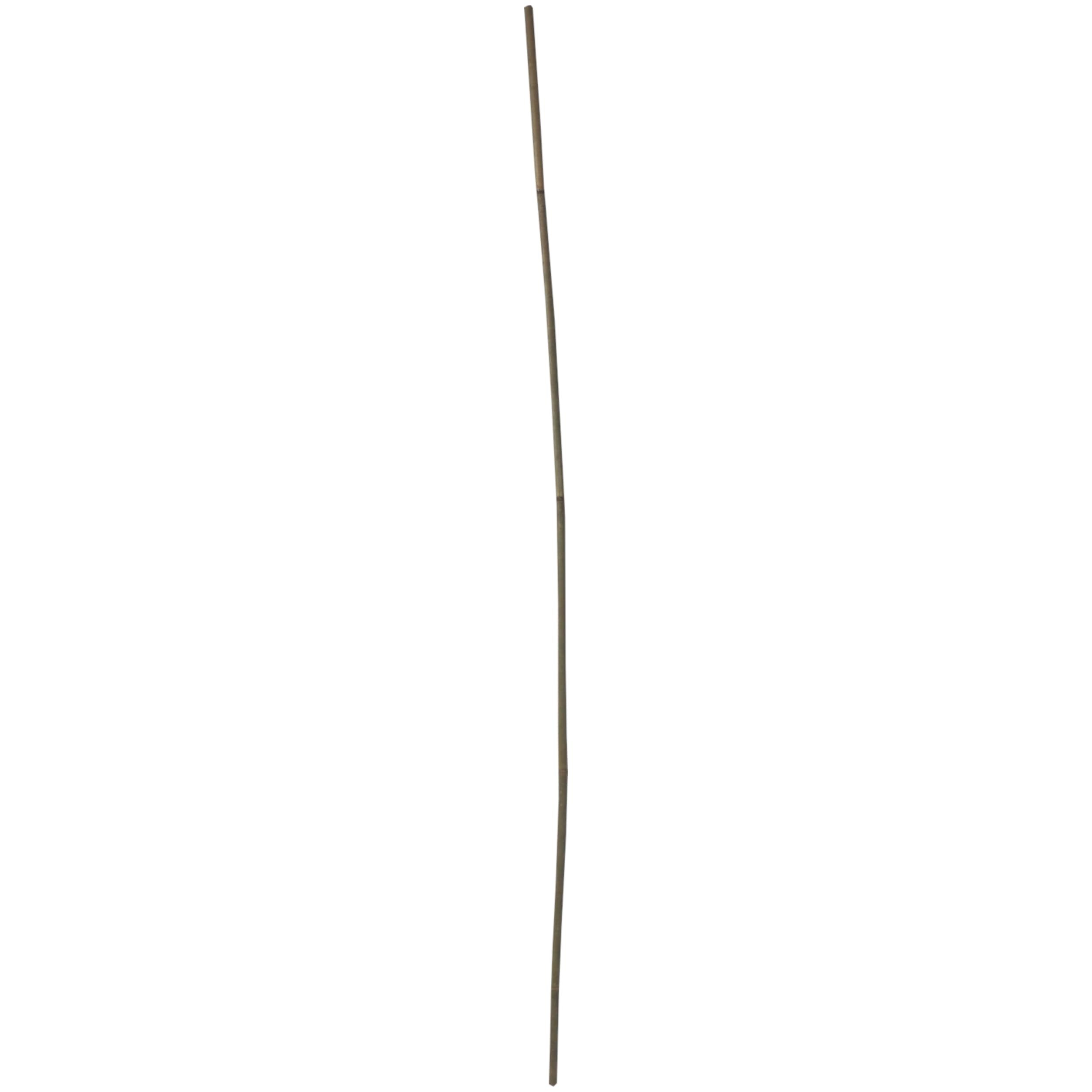 Bambusové tyče TOPTRADE 150 cm Ø 14–16 mm – sada 2 ks - náhled 5