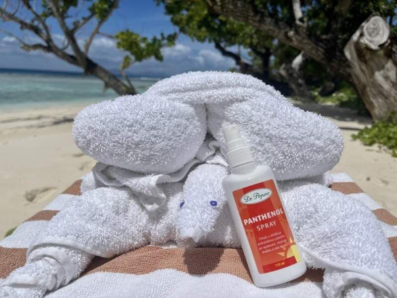 Panthenol spray, 110 ml Dr. Popov - náhled 2