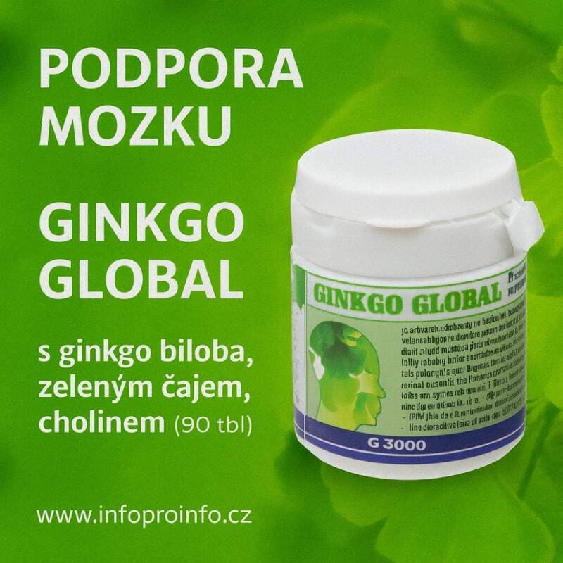 Ginkgo Global s Ginkgo biloba a cholinem, 90 tablet - náhled 2